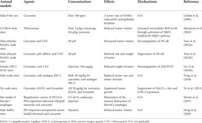 The anticancer effects of curcumin and clinical research progress on its effects on esophageal cancer